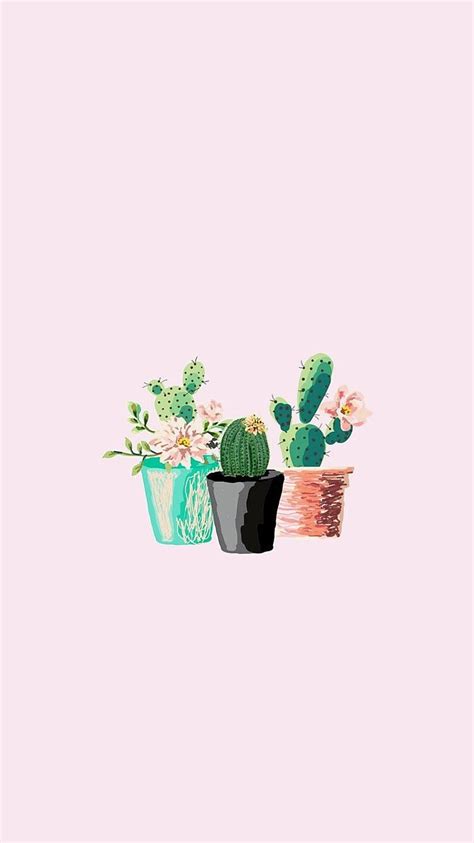 Cactus Pink Aesthetic Wallpapers Wallpaper Cave