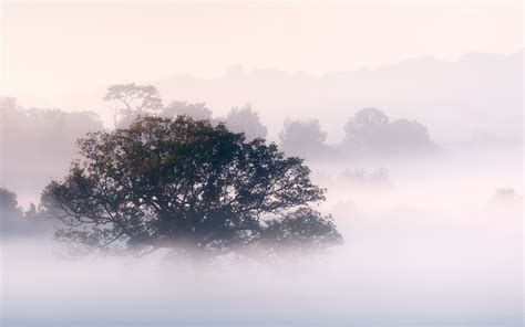 Wallpaper Sunlight Landscape Nature Sky Winter Branch Sunrise