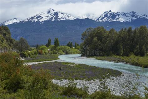 Spring Along The Carretera Austral In Northern Patagonia Chile Stock