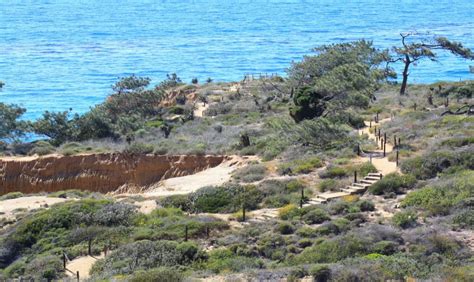 This location is very walkable so most errands can be accomplished on foot. Torrey Pines State Natural Reserve, San Diego, CA - California Beaches