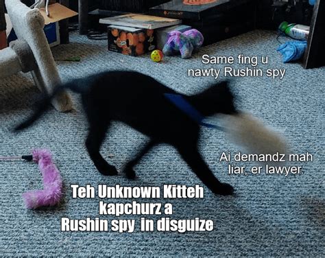 Russian Spies No Match Fur The Unknowed Kitteh Lolcats Lol Cat