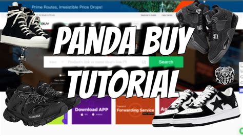 How To Use Pandabuy Full Guide 2023 Updated And Cheapest Youtube