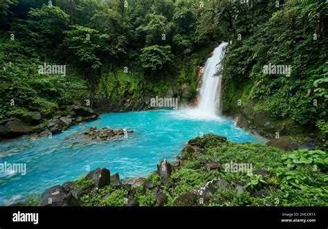 Catarata Río Celeste Waterfall Of Blue River Rio Celeste Parque