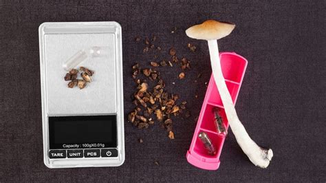 Microdosing Magic Mushrooms How To Prepare The Doses Entheonation