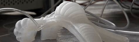 Nasas Langley Research Center Looks Into Creating Soft Robots