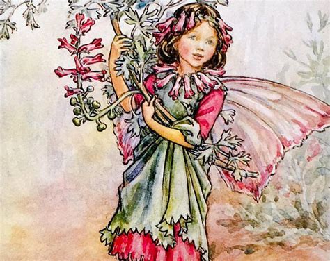 The Flower Fairies The Geranium Fairy Book Illustration 1997 By