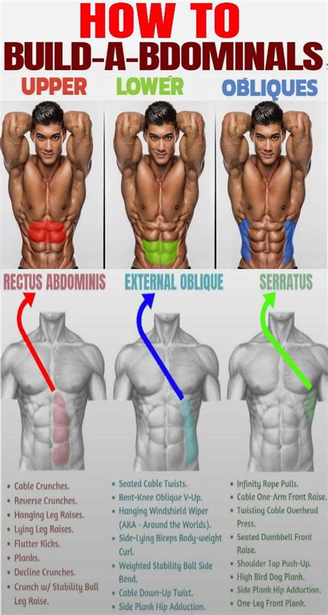 Exercises To Build Ab Muscle