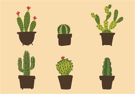 Vector Cactus Illustration Set Download Free Vector Art Stock