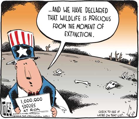 Political Cartoon On Environmental Laws Gutted By Tom Toles