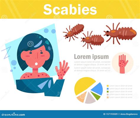 Scabies Isolated Art On White Background Cartoon Vector