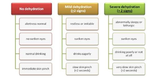 1 Levels Of Dehydration In Children With Acute Diarrhea 178