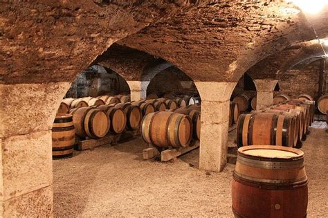 Bourgogne les cépages appellations et caractéristiques des vins de