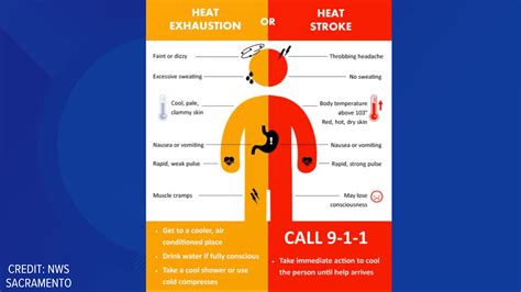 The Differences Between A Heatstroke And Heat Exhaustion