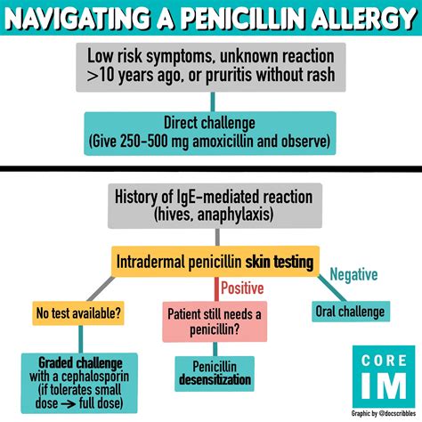 5 Pearls On Penicillin Allergy Core Im Podcast