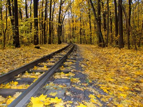 Autumn Railway Stock Photo Image Of Background Beauty 16652028