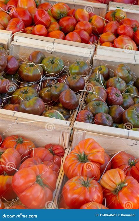 Vegetables Of South France Farmers Organic Ripe Tomatoes In Stock