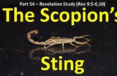 revelation scorpion locusts sting