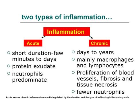 Inflammation Part 3 Resolving Inflammation Resolvins Protectins