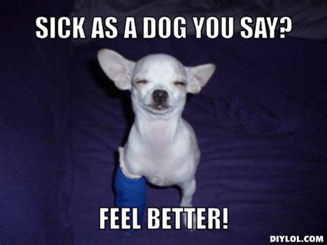 Memes To Make You Smile When You Are Sick As A Dog Friday Frivolity