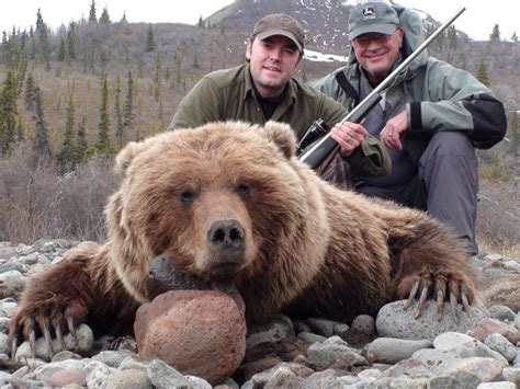 Alaska Guided Spring Grizzly Bear Hunting Alaska Arctic Adventures
