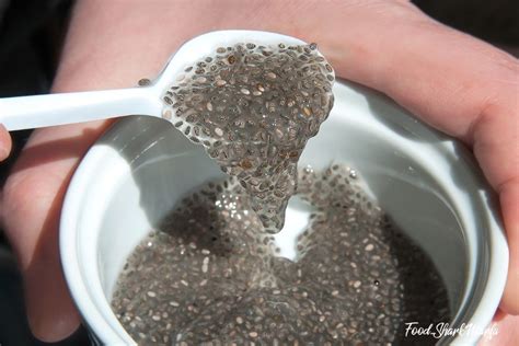 Native to southern and central. The Top 30 Ways of How to Eat Chia Seeds | Food Shark Marfa