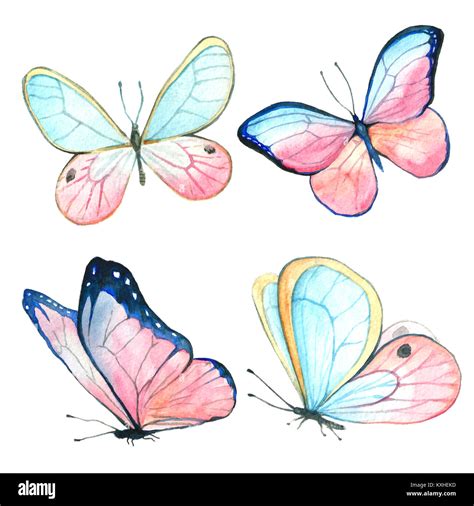 Collection Watercolor Of Flying Butterflies Stock Photo Alamy