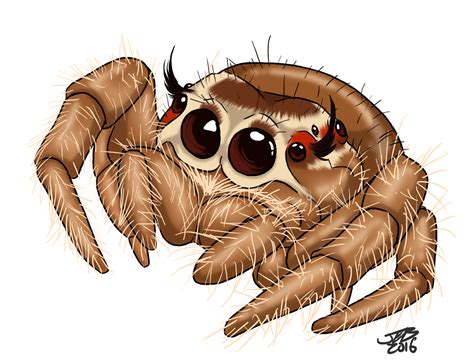 Cute Spider Drawing At Explore Collection Of Cute