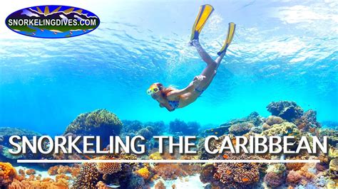 Best Caribbean Snorkeling Youtube