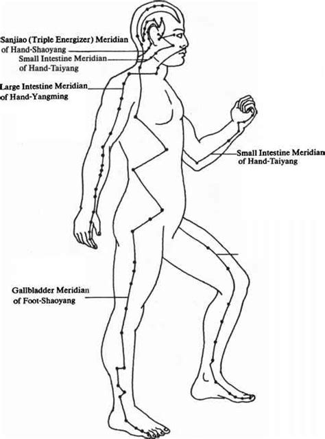 It controls the transformation of digestive wastes from liquid to solid an energetic imbalance in the large intestine can result in physical weakness and provoke emotional introversion, accompanied by feelings of. The Twelve Regular Meridians - Practical Chinese Qigong