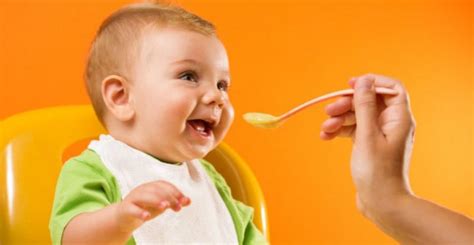 I have honestly expressed my views and opinions on easy baby weaning so that it could be helpful to. Top 10 Best Ideas For 9 Month Baby Food in India - Most ...