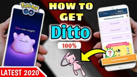 how to get a ditto in pokemon go 2020 best and new way to catch ditto in wild easy to find