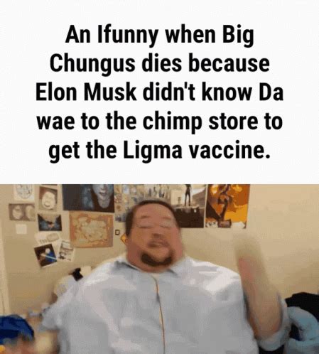 Big Chungus Big Chungus Discover Share Gifs