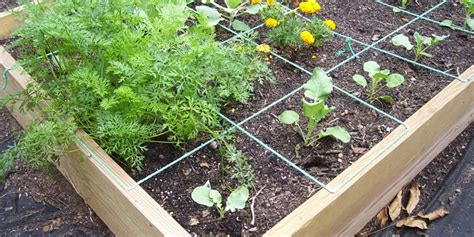 10 Best Soil For Raised Garden Beds 2020 Guide And Reviews