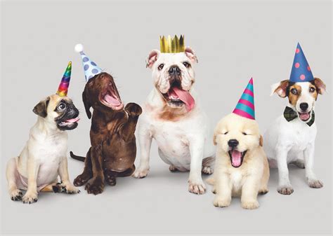 Dogs Singing Happy Birthday Images Gertude Barham