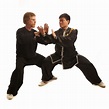 Nick Gudge | Listing of the Types of Push Hands Exercises, tai chi ...