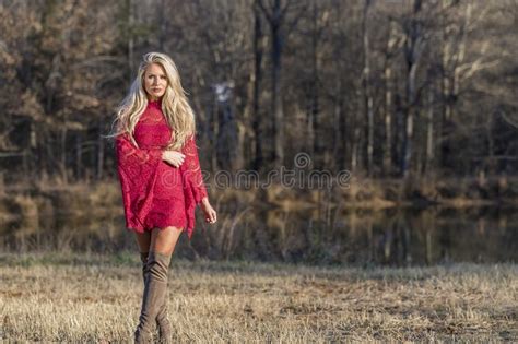 Gorgeous Blonde Model Posing Outdoors Stock Image Image Of Beautiful Beauty 119584949