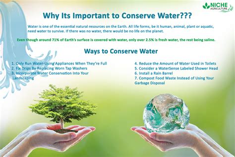 water conservation information