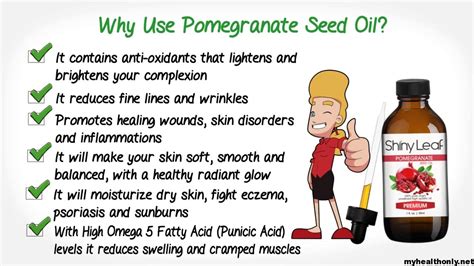 10 Special Benefits Of Pomegranate Oil You Must Know My Health Only