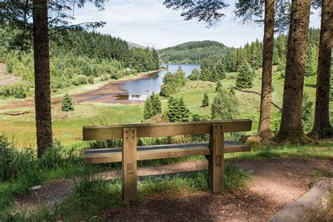 Three Lochs Forest Drive — See Loch Lomond What To Do In Loch Lomond