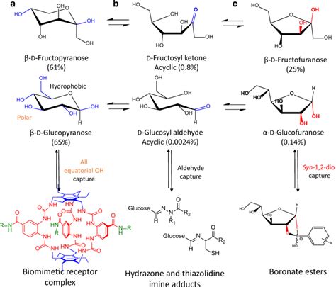 Biomimetic And Chemical Strategies To Bind Glucose Vs Fructose