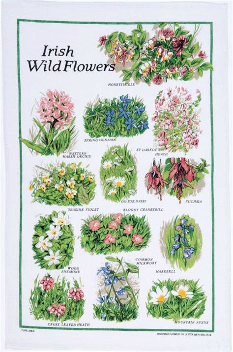 Irish Wild Flowers Ireland In 2020 Irish Flower Irish Garden