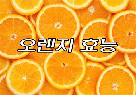 오렌지 효능 부작용 하루 권장 섭취량