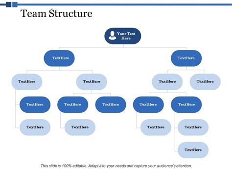 Team Structure Ppt Powerpoint Presentation Summary Icon Powerpoint