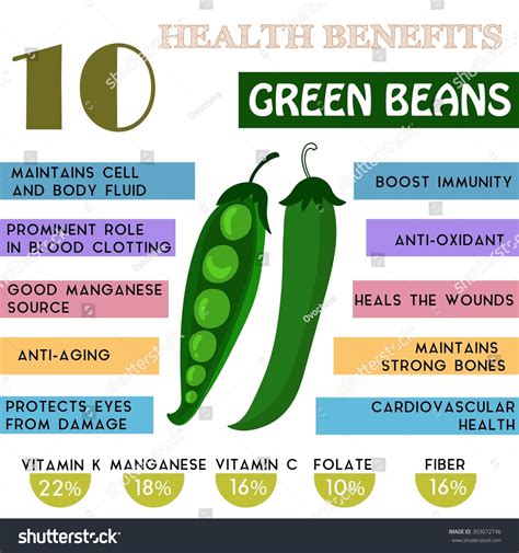 10 health benefits information of green beans nutrients infographic vector illustration