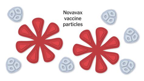 How The Novavax Covid 19 Vaccine Works The New York Times