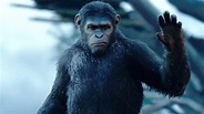 Dawn of the Planet of the Apes: Trailer 3 - Trailers & Videos - Rotten ...