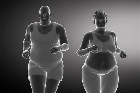 Uncovering The Brain S Role In Obesity For Men And Women Gud Learn