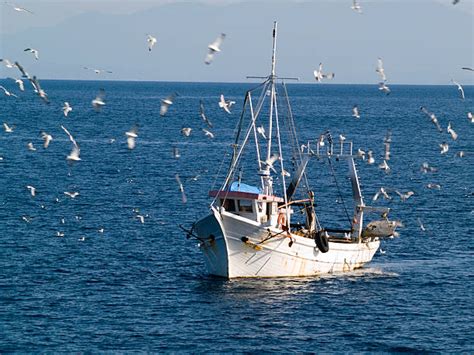 Fishing Boat Pictures Images And Stock Photos Istock