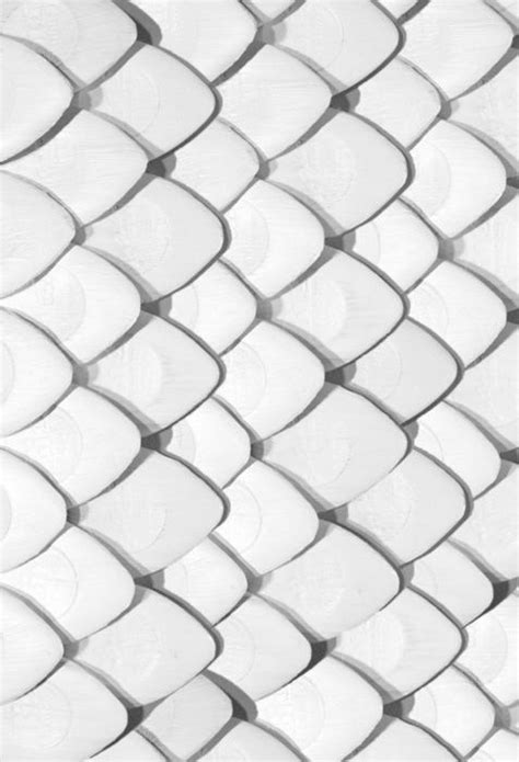 Scales Textures Patterns Texture Inspiration White Texture