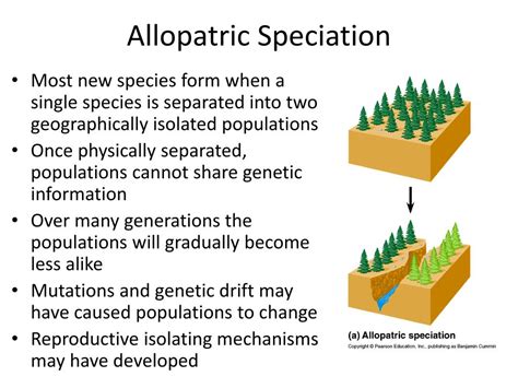 Ppt Speciation Powerpoint Presentation Free Download Id1641302